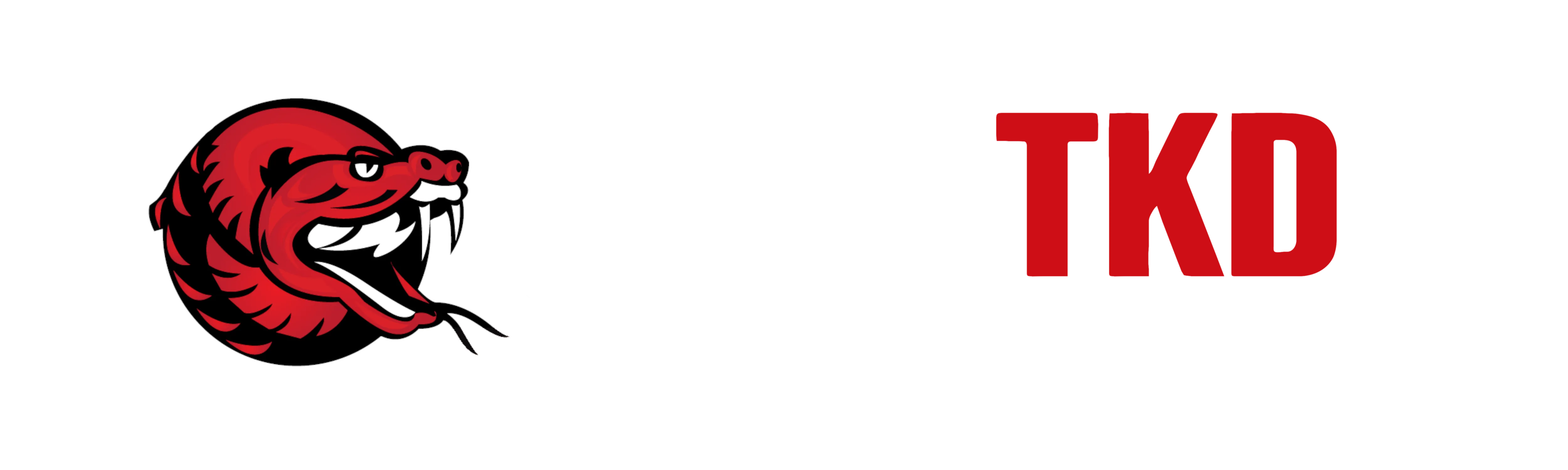 ViperTKD Games Studio logo